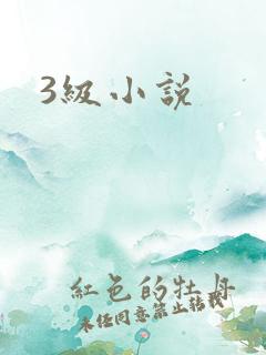 3级小说