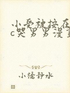 小受被按在墙上c哭男男漫画