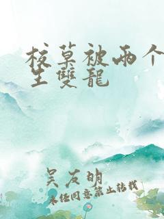 校草被两个体育生双龙