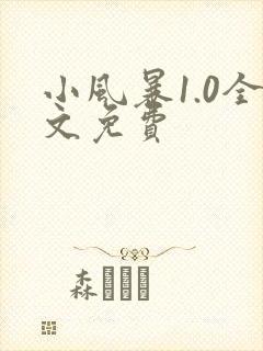 小风暴1.0全文免费