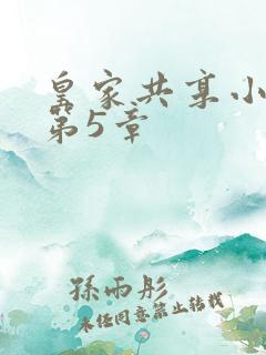 皇家共享小公主第5章