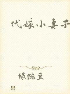 代嫁小妻子