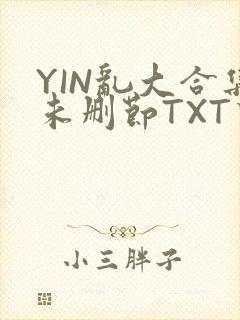 YIN乱大合集未删节TXT下载