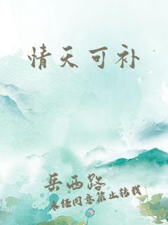 情天可补