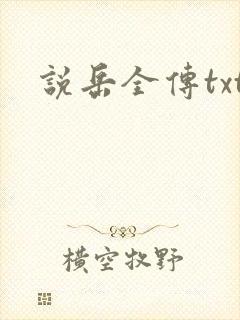 说岳全传txt