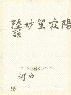 陆妙笙寂阳朔小说