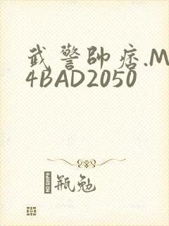 武警帅痞.MP4BAD2050