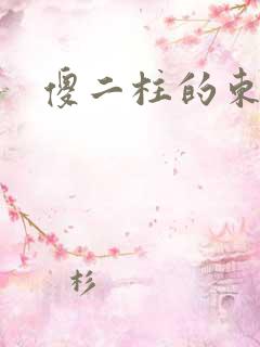 傻二柱的东西大