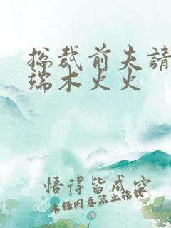 总裁前夫请自重端木火火