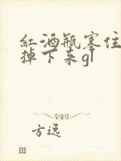 红酒瓶塞住不准掉下来gl