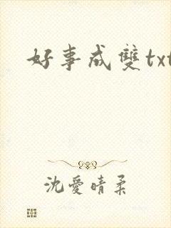 好事成双txt