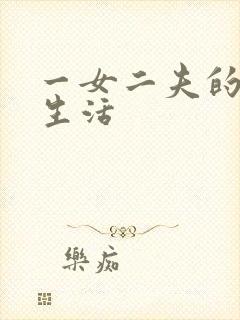 一女二夫的激情生活