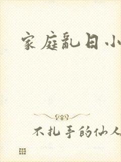 家庭乱日小说
