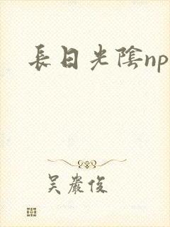 长日光阴np