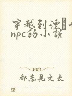 穿越到湮婸世界npc的小说