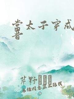 当太子穿成大福晋