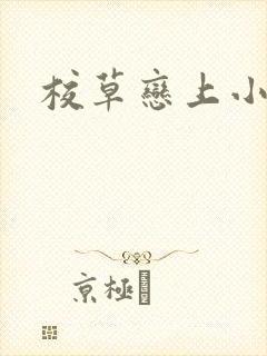 校草恋上小丫头