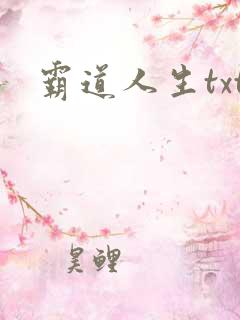 霸道人生txt