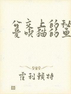 公交上的秘密 爱吃猫的鱼