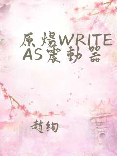 原炀WRITE AS震动器