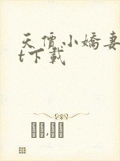 天价小娇妻txt下载