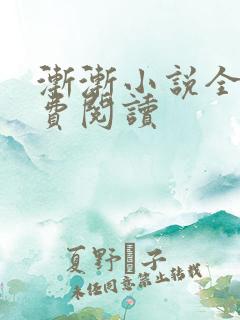 渐渐小说全文免费阅读