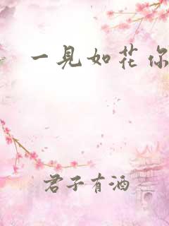 一见如花你就笑