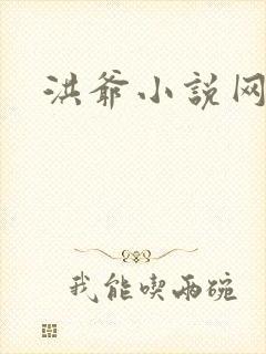 洪爷小说网