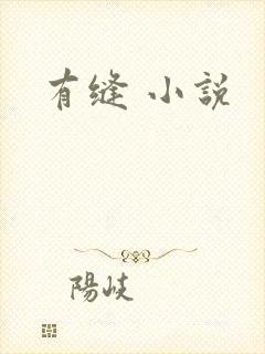 有缝 小说