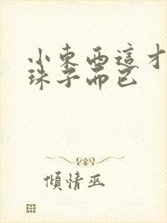 小东西这才一颗珠子而已