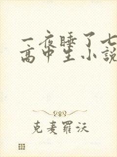 一夜睡了七个女高中生小说h