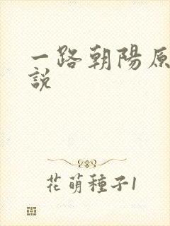 一路朝阳原著小说