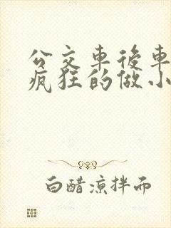 公交车后车座的疯狂的做小