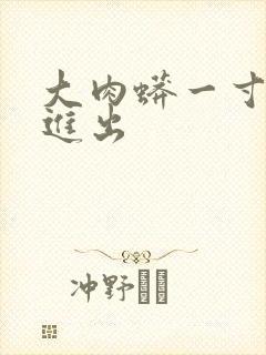 大肉蟒一寸一寸进出