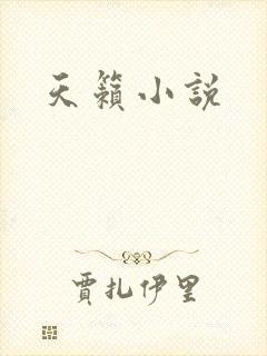 天籁小说