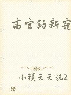 高官的新宠