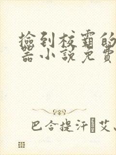 捡到校霸的遥控器小说免费阅读