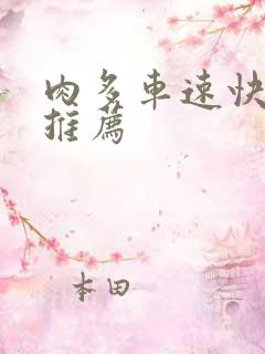 肉多车速快的书推荐