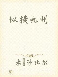 纵横九州