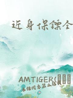 近身保镖全集