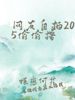 网友自拍2015偷偷撸