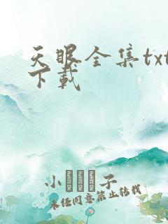 天眼全集txt下载
