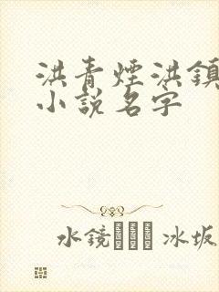 洪青烟洪镇国的小说名字