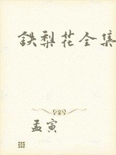 铁梨花全集下载