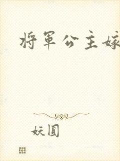 将军公主嫁到
