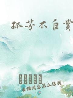 孤芳不自赏小说