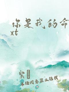 你是我的命运txt