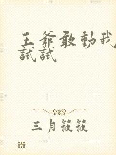 王爷敢动我妈咪试试