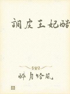 调皮王妃酷王爷