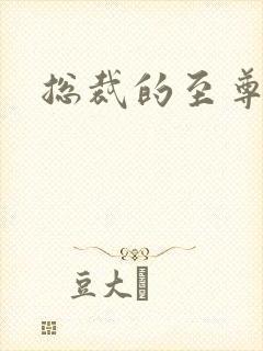 总裁的至尊前妻